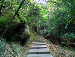 山间小路