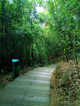 山间小路