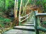 山间小路