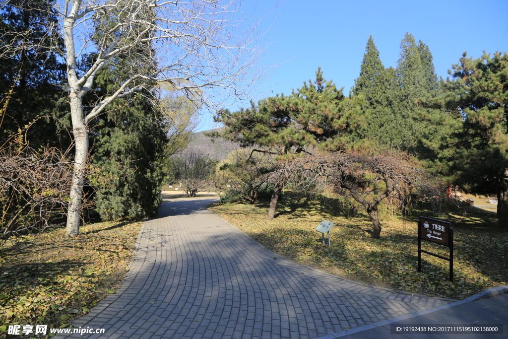 深秋植物园
