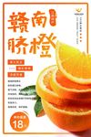 清新赣南脐橙水果海报