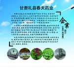 公司企业简介