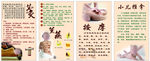 艾灸熏蒸按摩小儿推拿