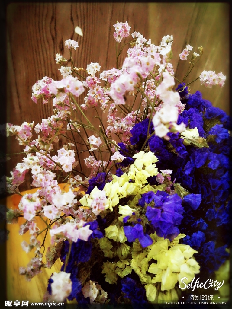 花卉