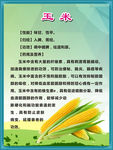 玉米功效