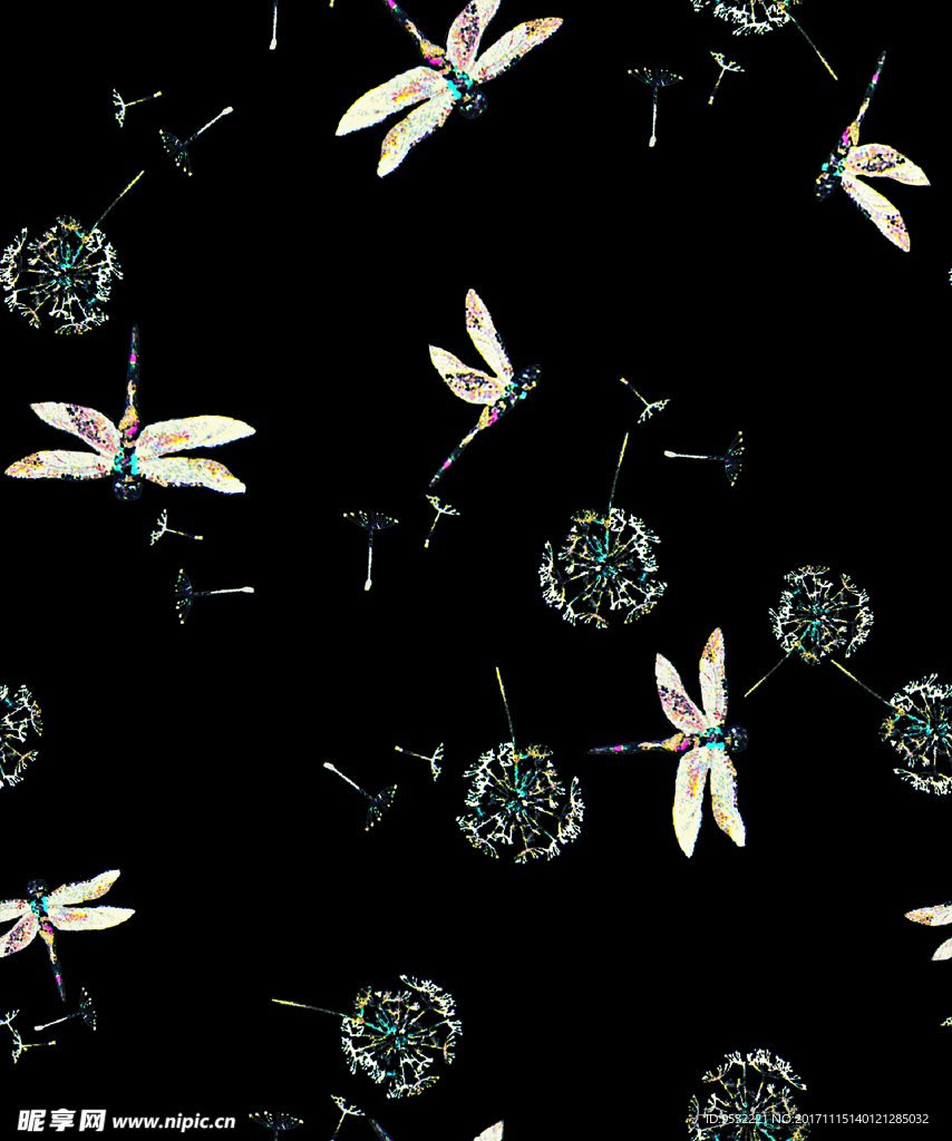 蜻蜓