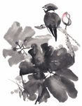 莲花