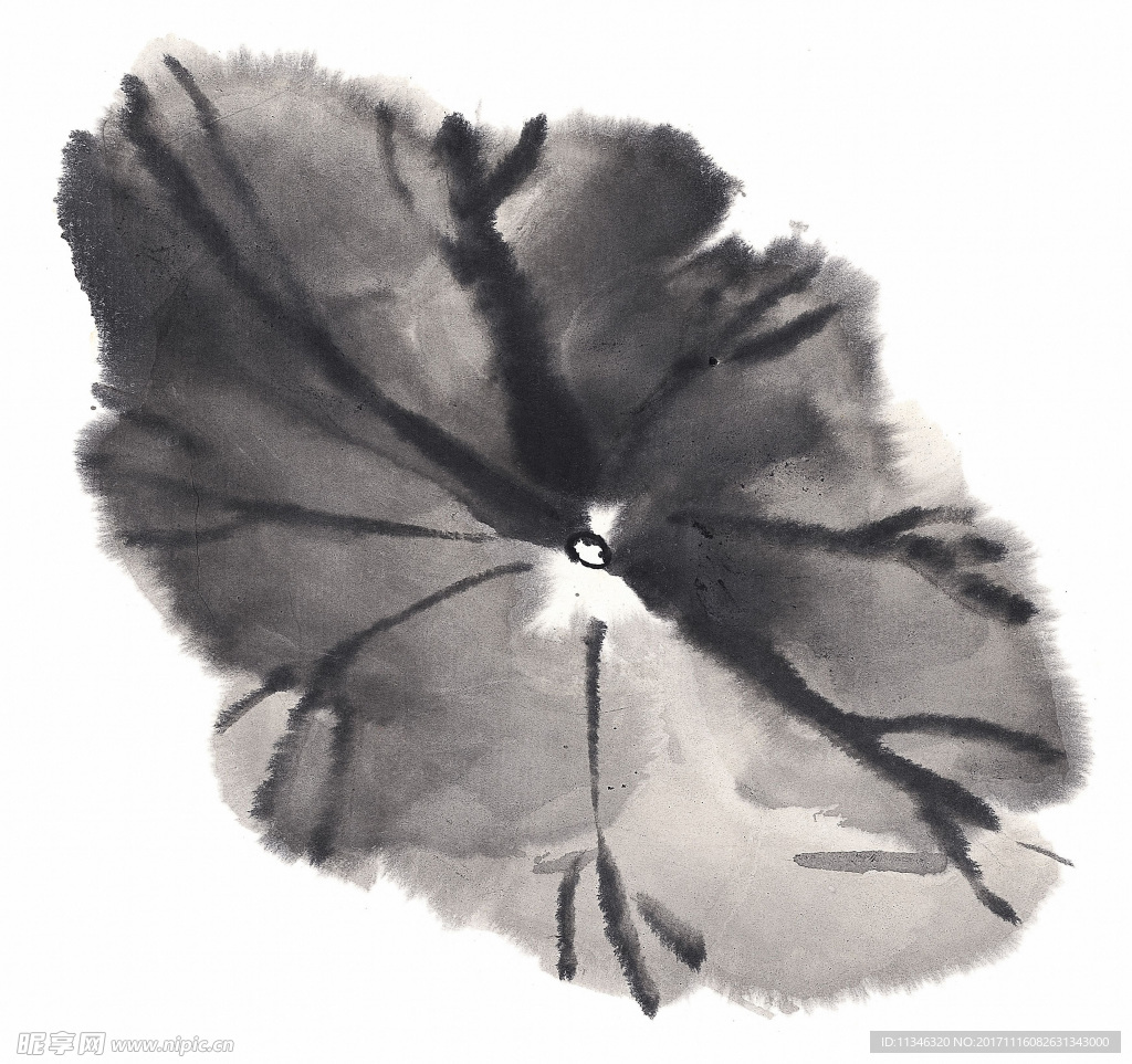 莲花