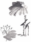 莲花