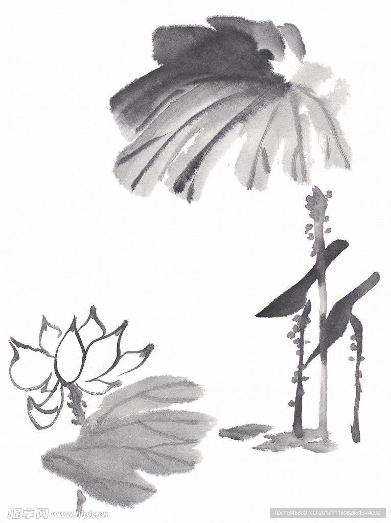 莲花