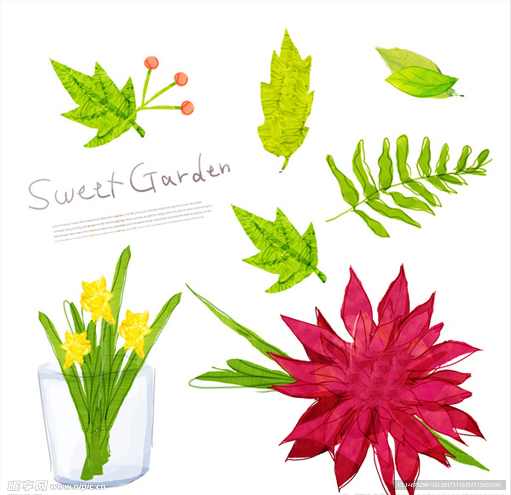 树叶与插花