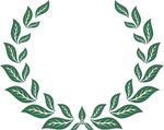 橄榄枝