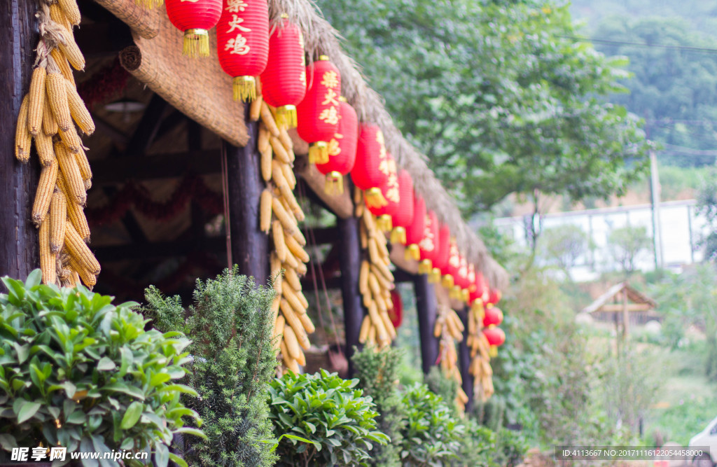 白鹿原