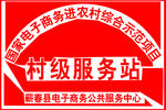 村级服务站