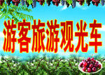 游客旅游观光车
