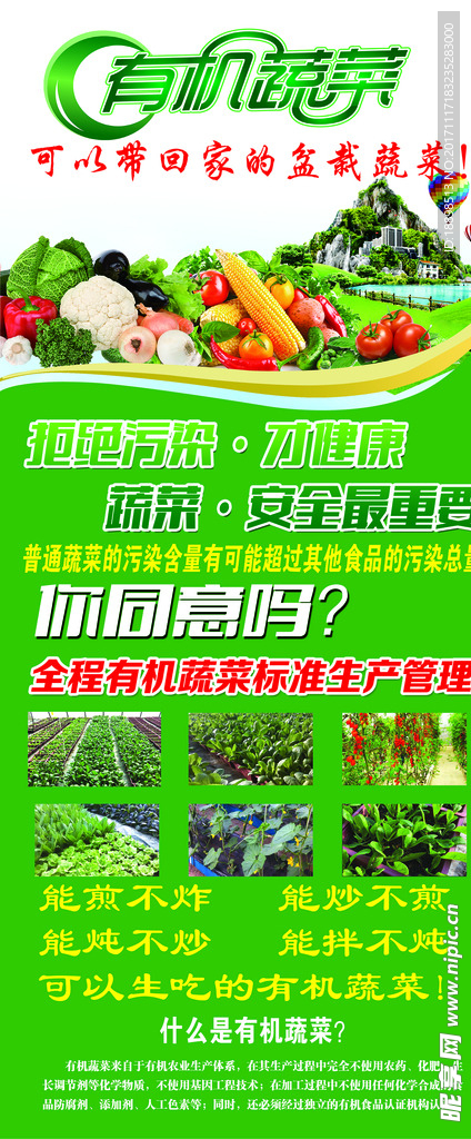 有机蔬菜展架
