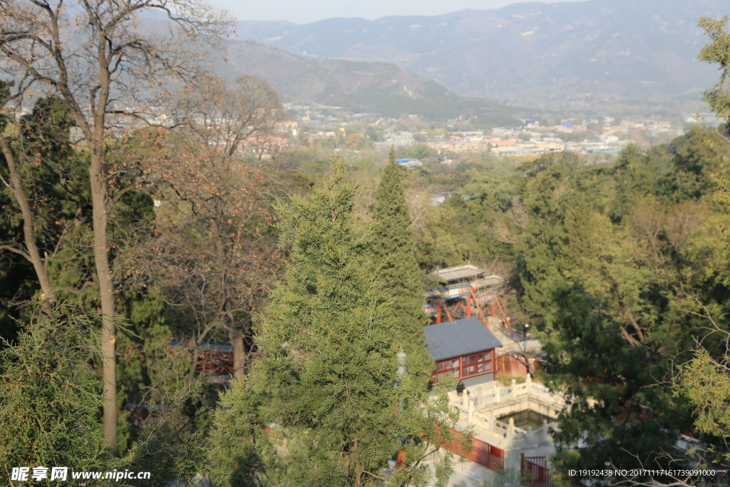 香山秋景