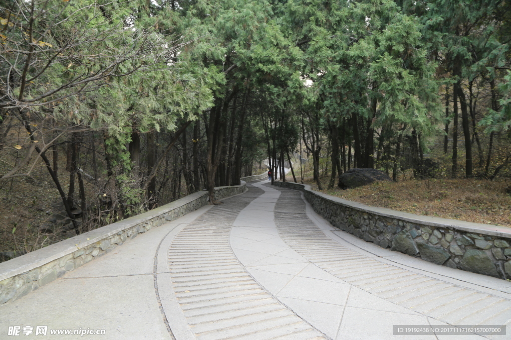 香山秋景