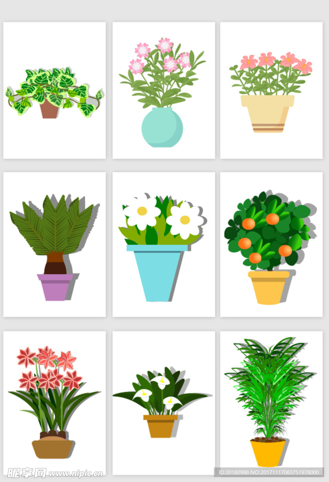 植物设计