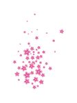粉色花瓣