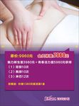 诗美诗格价格表