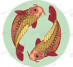 矢量星座