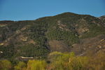 大山