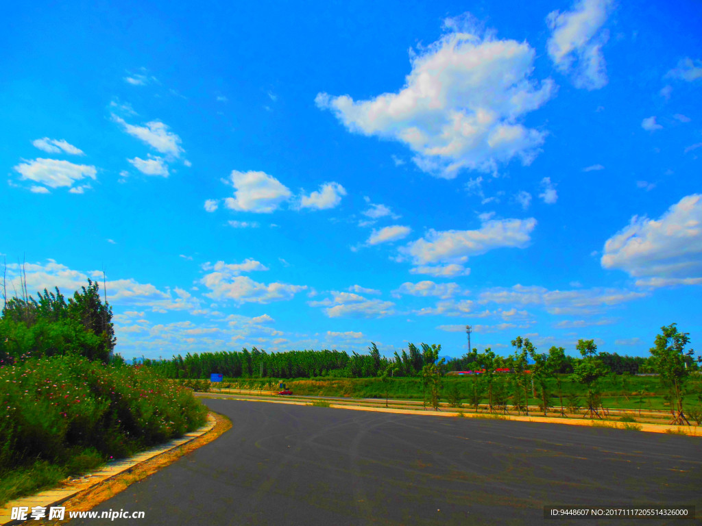 马路风景