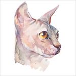 手绘水彩画小猫矢量图下载