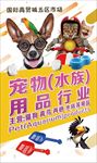 宠物墙 宠物灯箱
