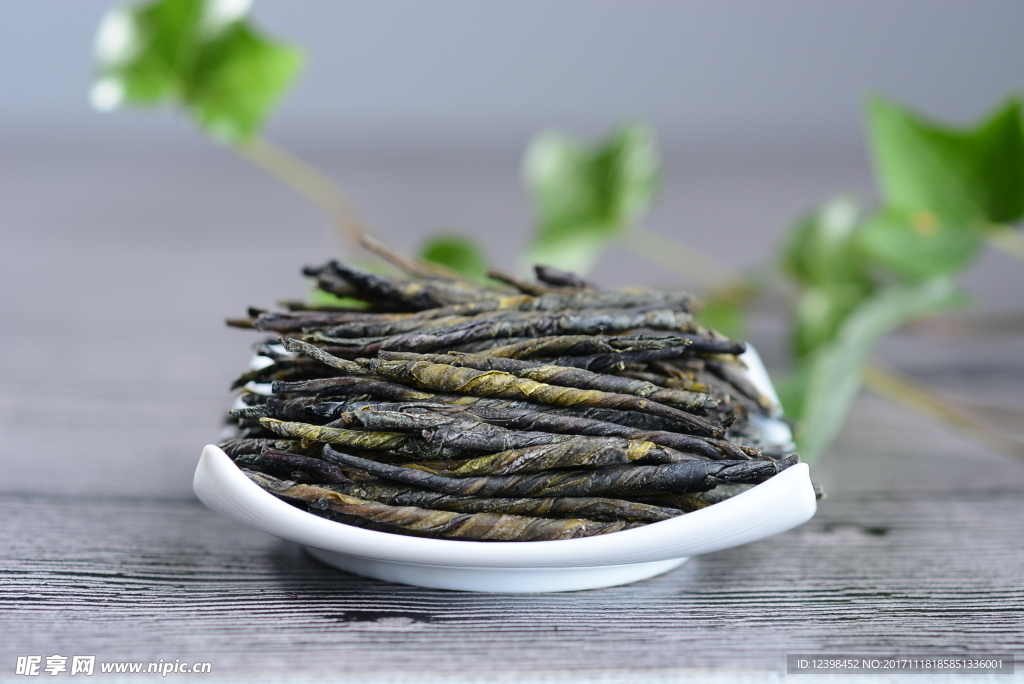 苦丁茶