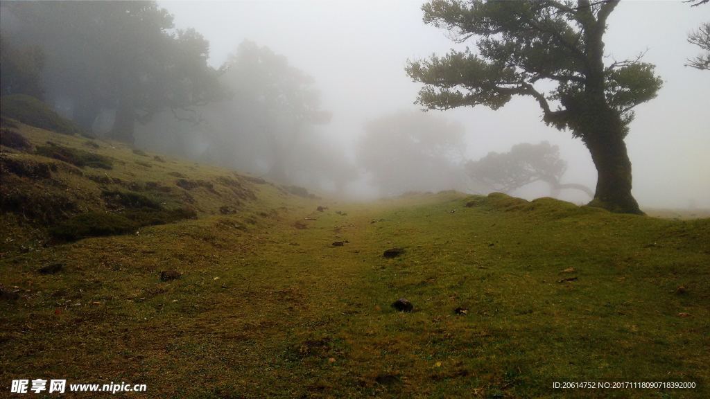 乡村美景