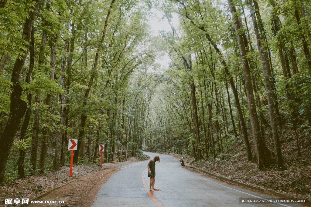 乡村道路风景