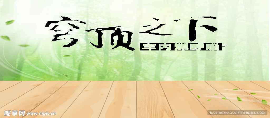 绿色树木阳