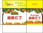 橘橙 橙子 精品盒 橙包装