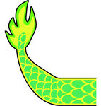 龙尾