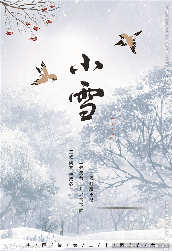 节气 小雪 麻雀