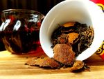 茶马大红柑