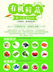 果蔬生鲜