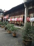 板凳龙