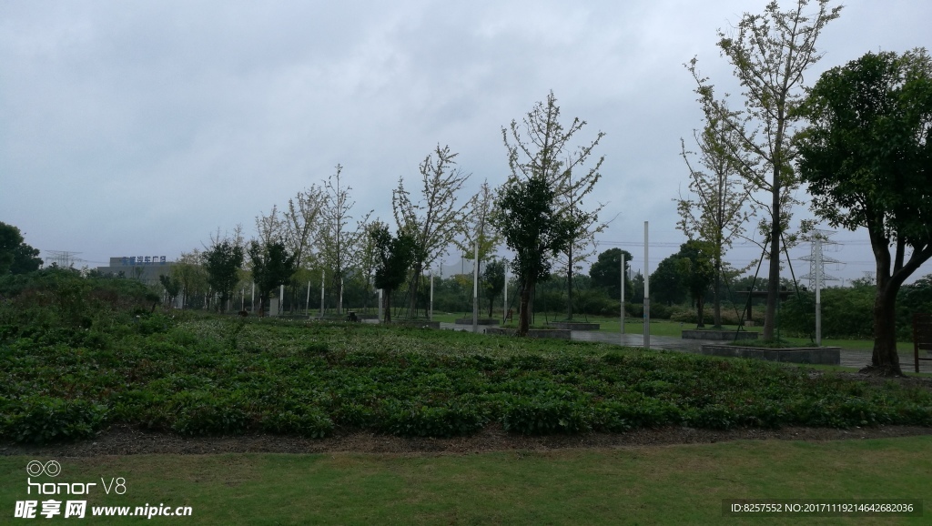 雨后的公园里醉人的风景