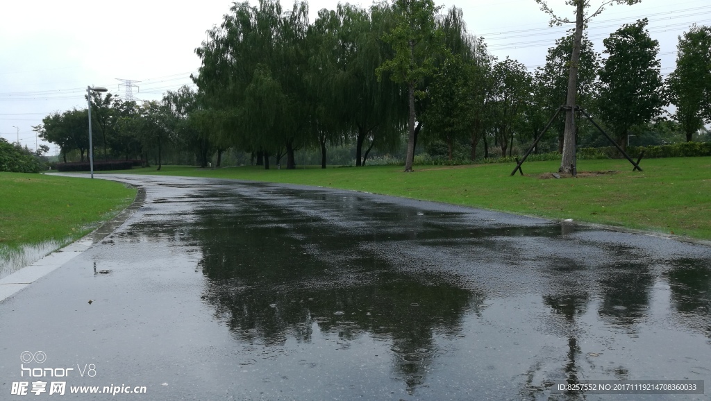 雨后湿漉漉的路面