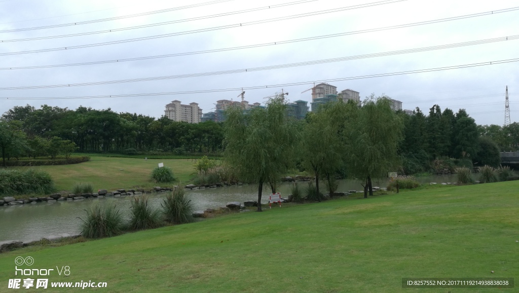 公园的河流和草地