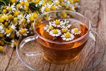 母菊花茶
