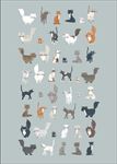 卡通猫矢量
