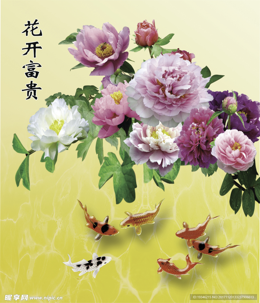 富贵花开