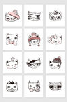 猫咪设计