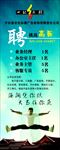 挑战高薪招聘海报