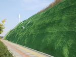 城市道路