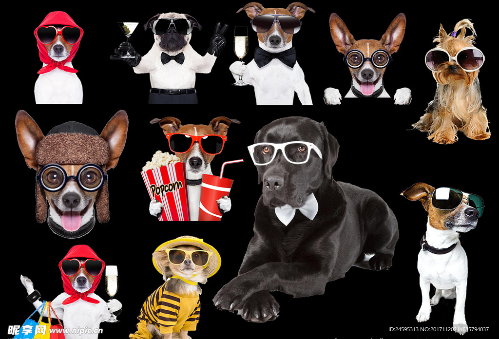 戴眼镜的宠物狗免抠元素素材